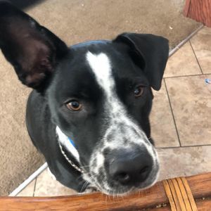 Meet your Posher, Jonathan